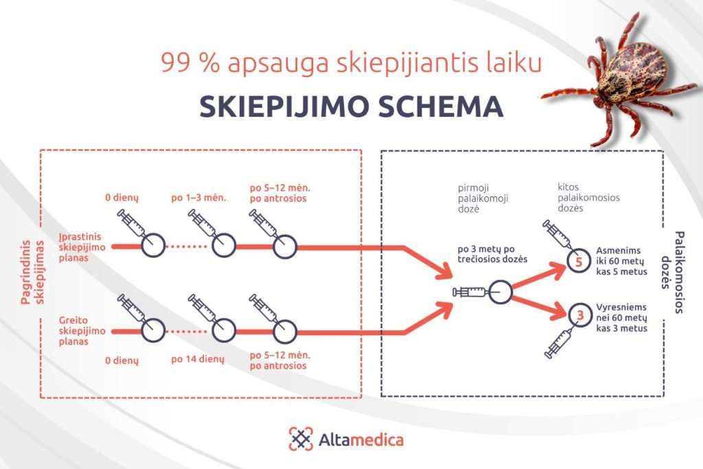 Erkinio encefalito skiepijimosi schema
