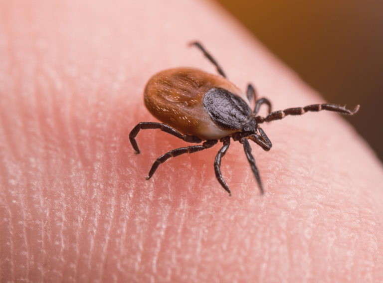 PR straipsnių viršeliai (7)